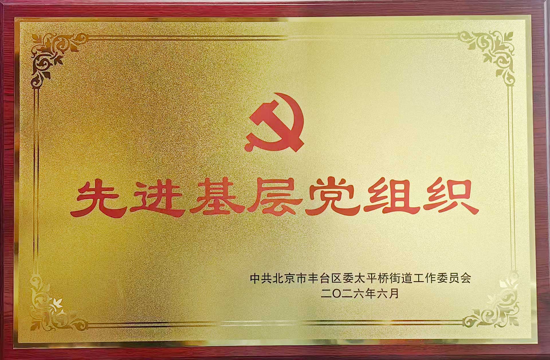 喜报｜党建引领践初心 载誉前行庆华诞——leyu乐鱼（中国）体育官方网站-LEYU.COM招标集团党支部获评辖区“优秀基层党组织”
